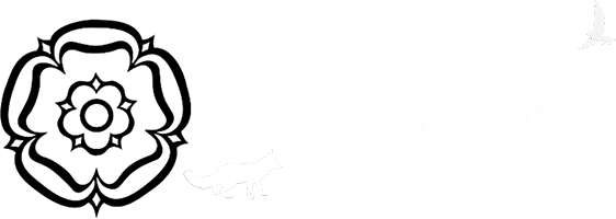 Yorkshire Photography Hides